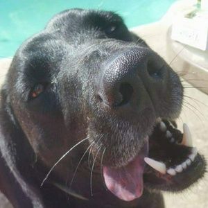 Meet your Posher, Traci